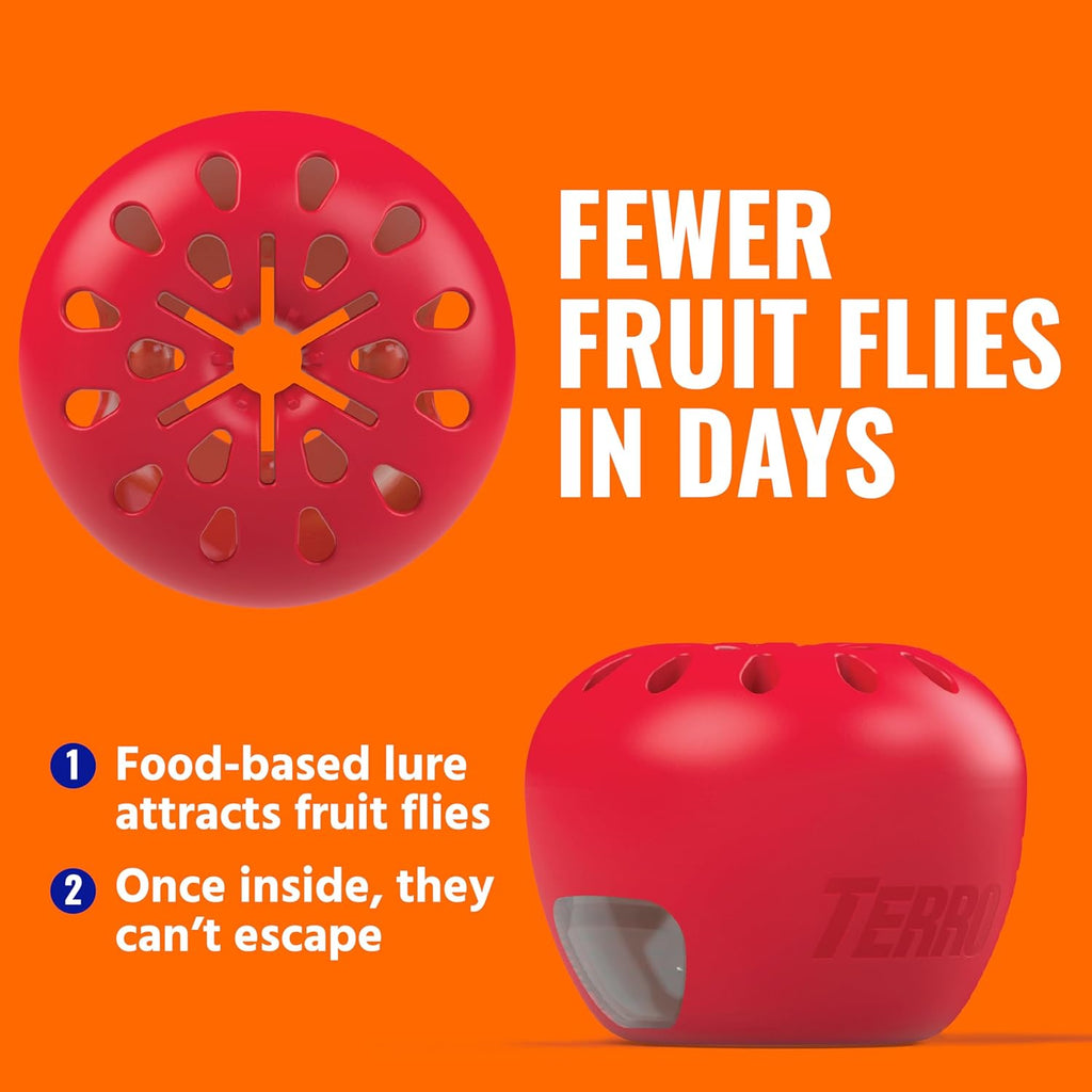 TERRO Fruit Fly Traps for Indoors (4 Pack) + 180 Days of Lure Supply