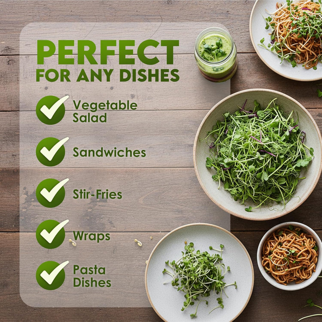 Nature Jim‰۪s Sprouts Organic Salad Mix ‰ÛÒ Non-GMO Microgreen Seeds, Perfect