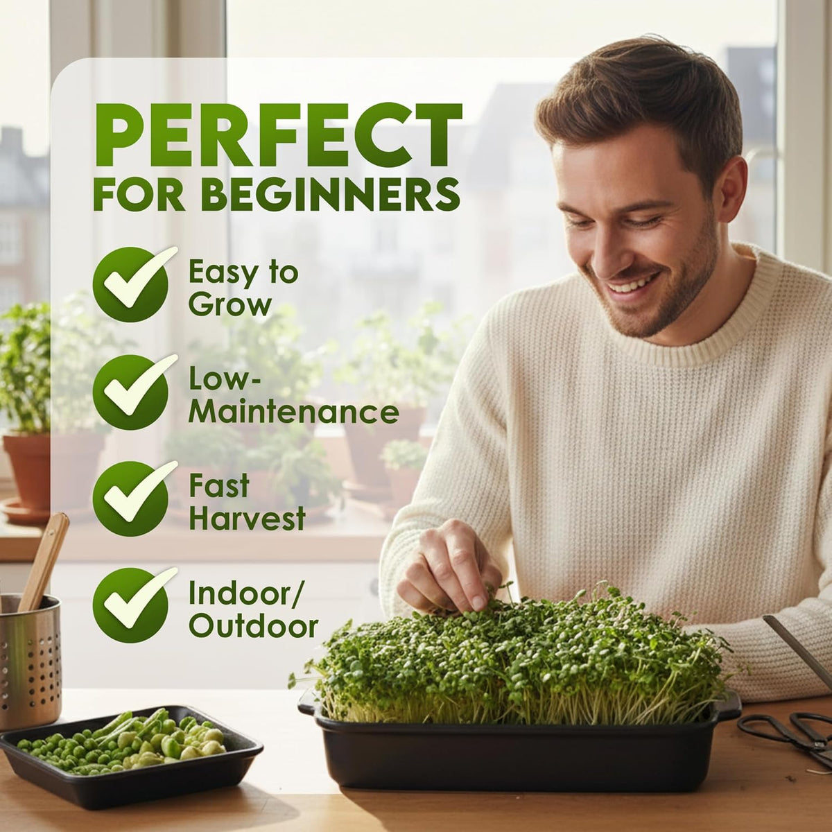 Nature Jim‰۪s Sprouts Organic Salad Mix ‰ÛÒ Non-GMO Microgreen Seeds, Perfect